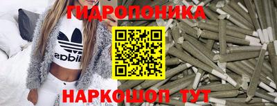 кокс Кингисепп