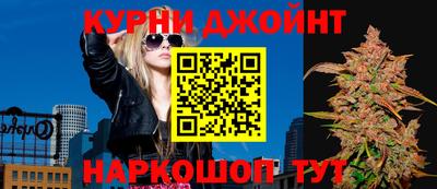 кокс Кингисепп