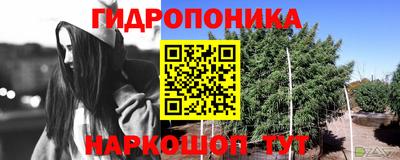 кокс Кингисепп