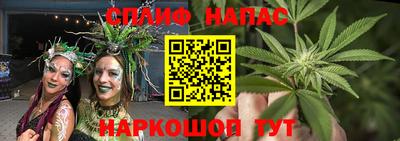 кокс Кингисепп