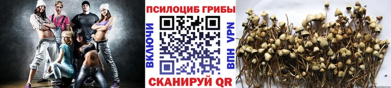 Псилоцибиновые грибы MAGIC MUSHROOMS  Красноярск 