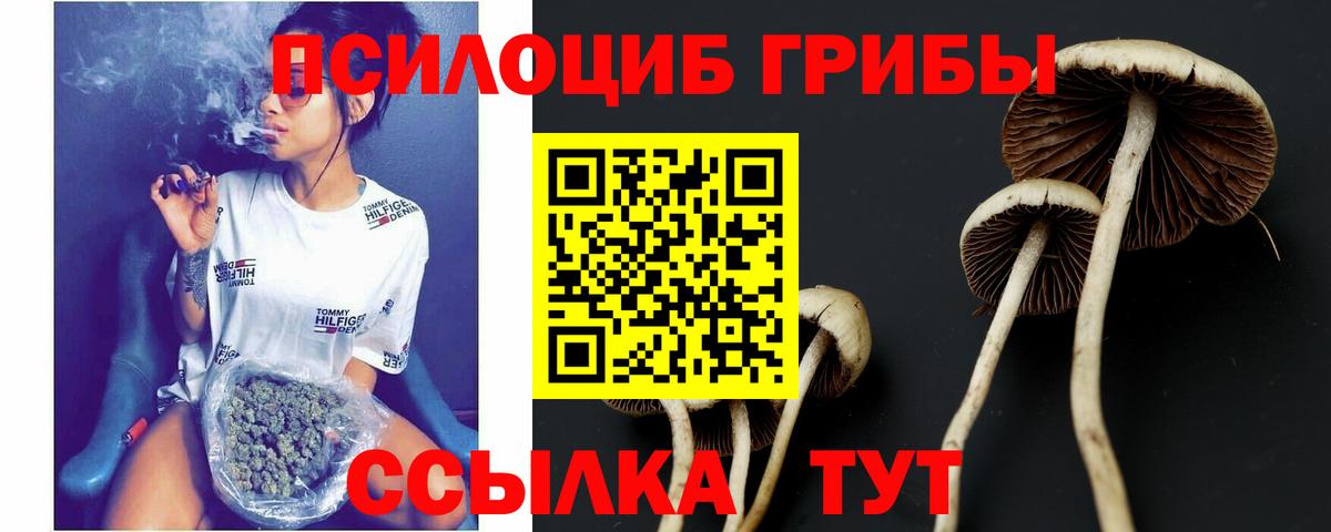 Псилоцибиновые грибы Cubensis  Галлюциногенные грибы GOLDEN TEACHER  Вход с VPN  Красноярск 